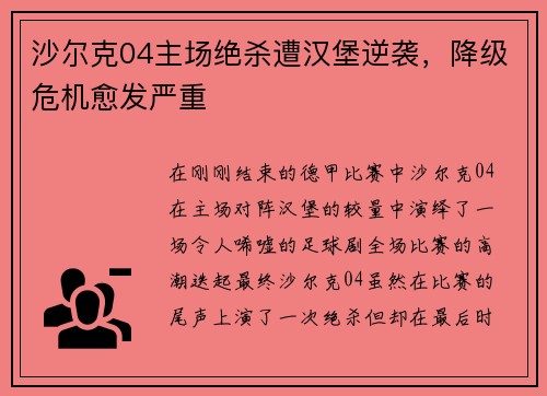 沙尔克04主场绝杀遭汉堡逆袭，降级危机愈发严重